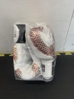 Item thumbnail for item 1620ded4-7053-4415-b3b5-ee7fd6337aec