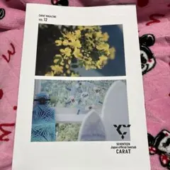 SEVENTEEN CARAT MAGAZINE 雑誌