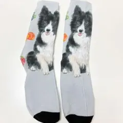 【オリジナル】ボーダーコリー　ソックス靴下　グレー