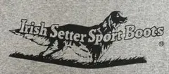 USA製 REDWING レッドウィング Irish Setter Tシャツのサムネイル