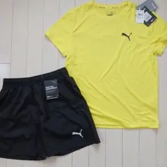 PUMAプーマ、トレーニングウェア、セットアップ、上下セット新品★サイズ160
