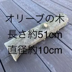 Item thumbnail for item ee9c1f61-5a52-42c9-a4a1-ef49ef62d325