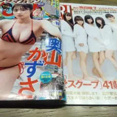 2冊セット ヤングマガジン フライデー