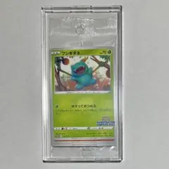未開封 イラストレーションコンテスト 2022 プロモ ポケカ フシギダネ