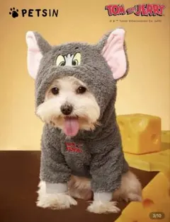 Item thumbnail for item da4045ab-55ca-4241-a56c-67233cb27a2e