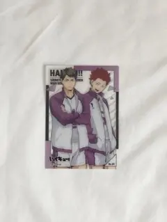 ハイキュー！！ 牛島若利 天童覚 トレーディングカード