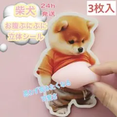 柴犬シール3枚　おなかぷにぷに　立体3D　ぷっくりおなか　いぬステッカー　韓国