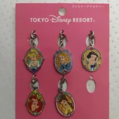 東京ディズニーリゾート☆プリンセスファスナーチャ―ム5個未使用品