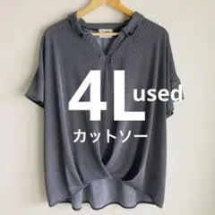 大きいサイズ　4L used カットソー