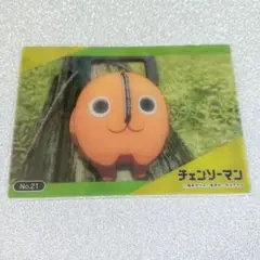 チェンソーマン トレーディングカード コレクションクリア ポチタ No.21