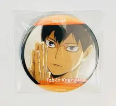 ハイキュー‼︎ 運試し!ハイキュー!!みくじ〜横断幕を広げて〜　影山飛雄　烏野