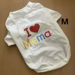 【新品未使用】犬服 M ホワイト 白のサムネイル