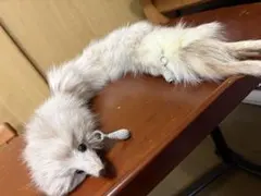 ミンク ファーティペット リアルファー マフラー