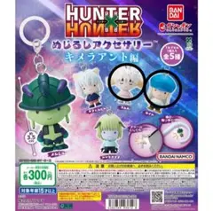 hunter×hunter めじるしアクセサリー2個セット　キメラアント編