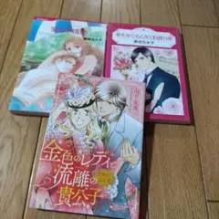 金色のレディと流離の貴公子～荒野の巡礼者～等　3冊セット