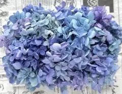 minc.様 リクエスト 2点 まとめ商品