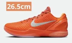 NIKE　ナイキ コービー6 プロトロ 