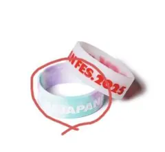 ROCK IN JAPAN 2025 ラバーバンド