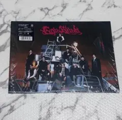&TEAM エンティーム　Go in Blind 月狼　初回限定盤 アルバム