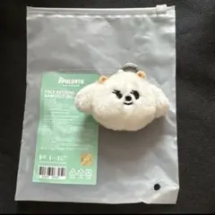 プルバトゥ TXT フェイスキーリング バムグッ ボムギュ