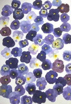 Item thumbnail for item 1659f2e3-95a1-4574-a907-ae9967f4dad0