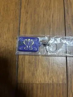 仮面ライダー　めじるしアクセサリー3 龍騎