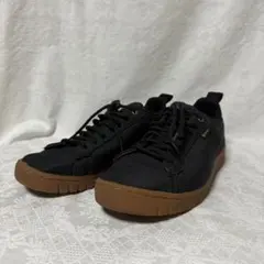 Item thumbnail for item 2c28654f-df1b-4b85-a06f-22345413c53e