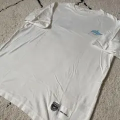 Item thumbnail for item 17d86a9e-2be3-4a85-b606-1e4215fd3351