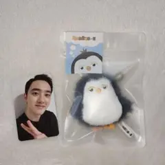 EXOぬいぐるみ Amazon.co.jp: EXO ぬいぐるみ 15cm パジャマ着動物かわいい
