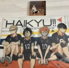 ハイキュー!! 日向翔陽　コースター　クリアファイル