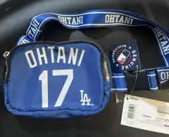 Item thumbnail for item 63179c36-a477-4f51-af90-f84c0dc08d8f