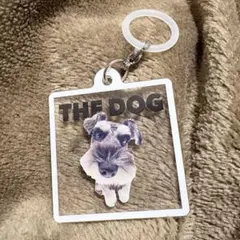 THE DOG フラットめじるしアクセサリー【ミニチュア・シュナウザー】