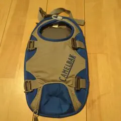 Item thumbnail for item 53a2ccd3-bfd8-447b-b737-147be9f3f71e