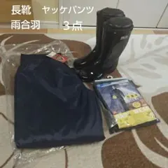 Item thumbnail for item 49c7d1d7-b3fc-44f8-aa62-3a03904069bb