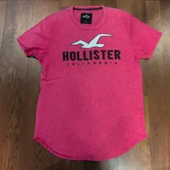 ホリスター半袖Tシャツ Lサイズ