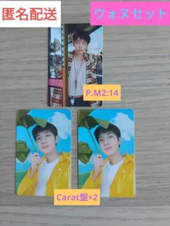 セブチ SEVENTEENTH HEAVEN トレカ ウォヌセット