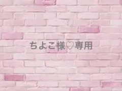 ちよこ様♡専用オーダー　痛ロゼット