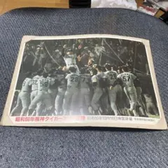 月刊タイガース300号突破記念 阪神タイガース写真集 - メルカリ