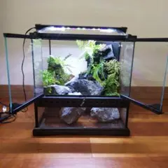 り*ー様 グラステラリウム3030 新品・未使用 グラステラリウム3030 エキゾテラ GEX ガラス飼育ケージ 販売 通販