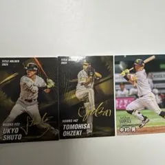 プロ野球チップス 阪神タイガース 藤川球児監督 現役時代サイン箔付き