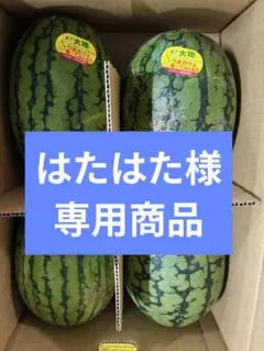 「専用」長崎こだまスイカ4玉2L 温室メロン 2玉入り 果物セットのサムネイル