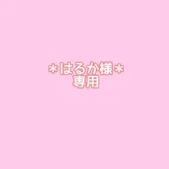 はるか様専用＊