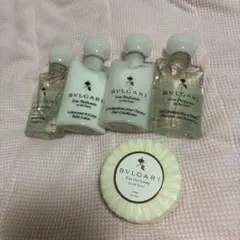 Item thumbnail for item f7857205-d50f-4a37-8bce-73833848ff75