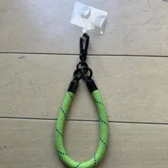 Item thumbnail for item a2164f38-893a-492e-9564-8b29cfd7c507