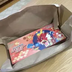 新品　未開封　ポケモンセンターヒロシマ スペシャルBOX