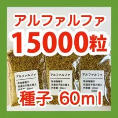 MDA様 リクエスト 2点 まとめ商品