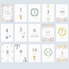 Item thumbnail for item 59fcfaee-8e1c-4320-af1a-3989d8f4f9be