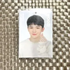 SEVENTEEN ウジ トレカ