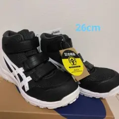 Item thumbnail for item 6b70dadb-0add-44b3-bf26-d8b81679d9a3