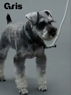 ⭐️お値下げしました⭐️Gris⭐️ 中型犬用　カーキ色　リード　首輪　セット売り